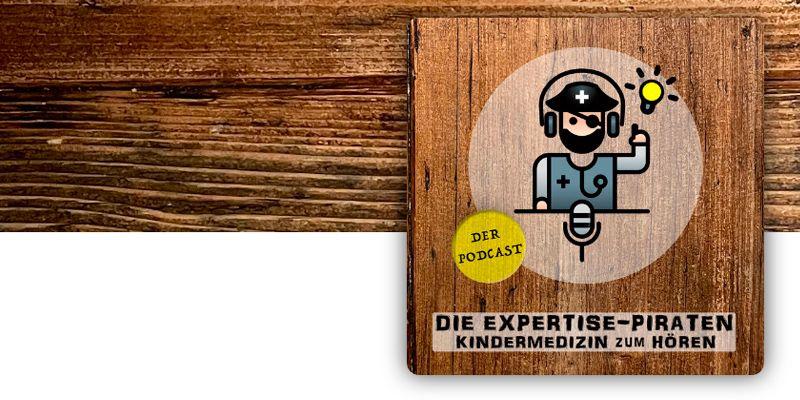 Logo der Expertisepiraten