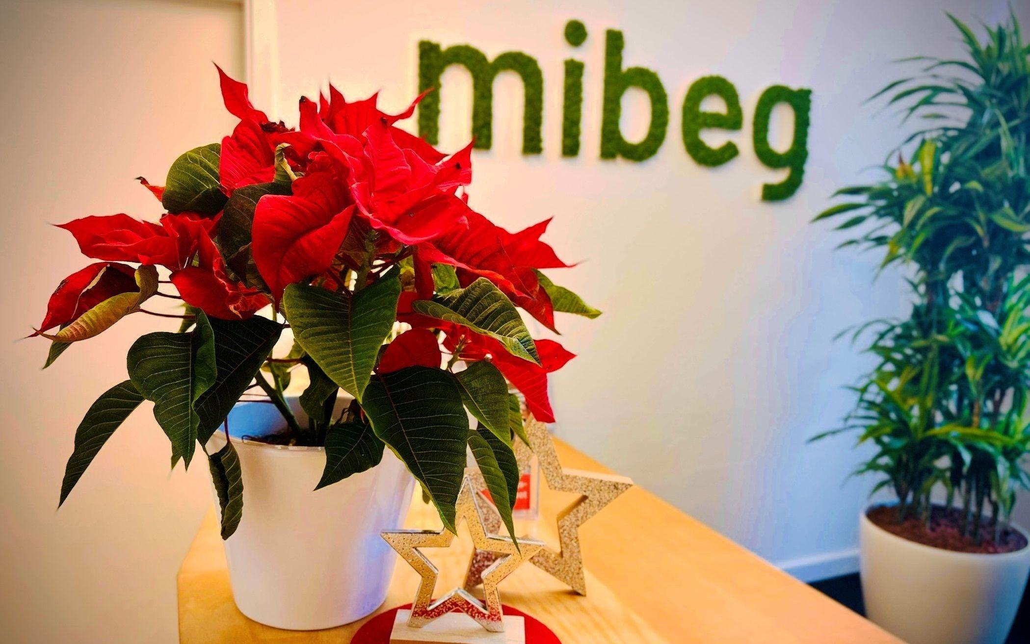 Ein Strauß Blumen steht auf einem Thresen in den Räumen der mibeg-Institute